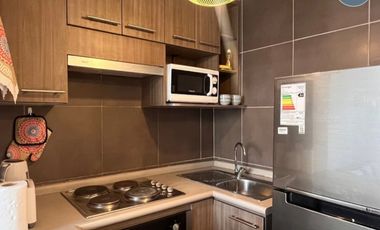Arriendo Departamento Amoblado de Alto Estándar – Santiago C