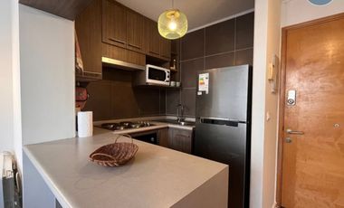 Arriendo Departamento Amoblado de Alto Estándar – Santiago C