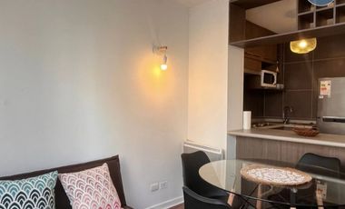 Arriendo Departamento Amoblado de Alto Estándar – Santiago C