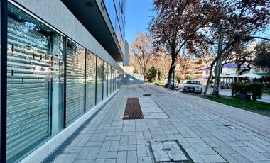 VENTA LOCAL COMERCIAL EN PADRE MARIANO PROVIDENCIA