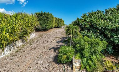 Lotes en venta en Jocotepec