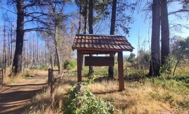 Parcela en venta en QUILLECO