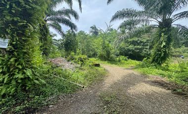 Finca con Palma Africana y piscina de camarones