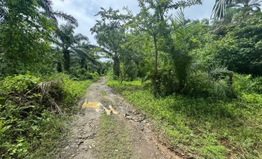 Finca con Palma Africana y piscina de camarones
