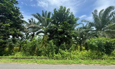 Finca con Palma Africana y piscina de camarones