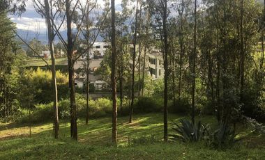 Venta terreno Cumbayá, 3.485m2 Colegio Terranova