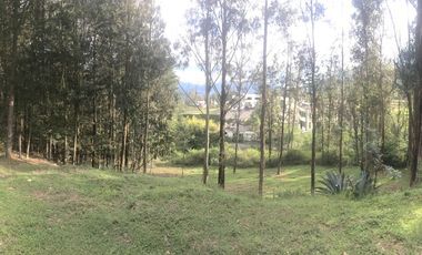Venta terreno Cumbayá, 3.485m2 Colegio Terranova