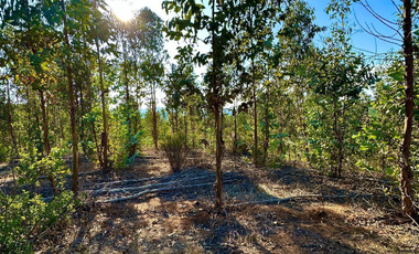 Parcela en Venta en SAN PEDRO DE ALCANTARA