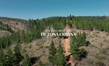 Parcela en Venta en SAN PEDRO DE ALCANTARA
