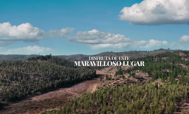 Parcela en Venta en SAN PEDRO DE ALCANTARA