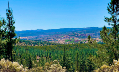 Parcela en Venta en SAN PEDRO DE ALCANTARA