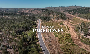 Parcela en Venta en SAN PEDRO DE ALCANTARA