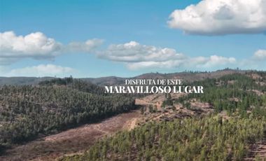 Parcela en Venta en SAN PEDRO DE ALCANTARA