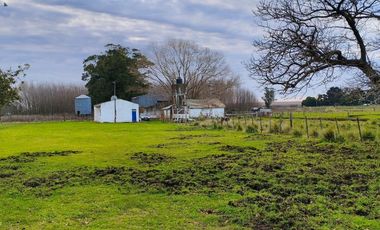 Campo mixto ruta 88 km 22