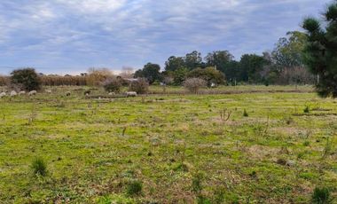 Campo mixto ruta 88 km 22