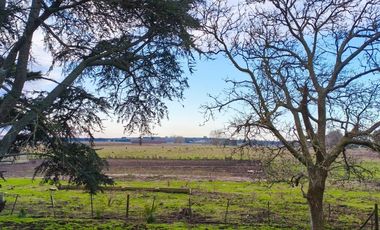 Campo mixto ruta 88 km 22
