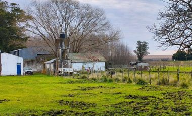 Campo mixto ruta 88 km 22