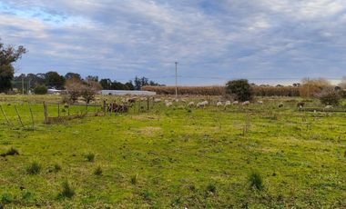 Campo mixto ruta 88 km 22