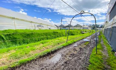 Finca en Venta 21 hectareas lista para producir agua de riego