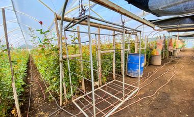 Finca en Venta 21 hectareas lista para producir agua de riego
