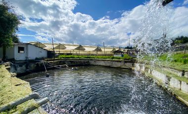 Finca en Venta 21 hectareas lista para producir agua de riego