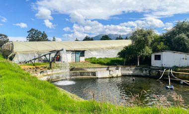 Finca en Venta 21 hectareas lista para producir agua de riego