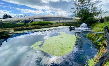 Finca en Venta 21 hectareas lista para producir agua de riego