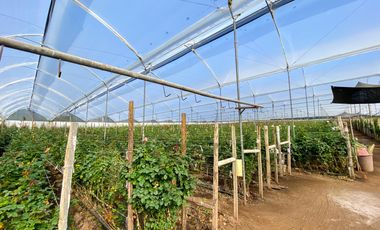 Finca en Venta 21 hectareas lista para producir agua de riego