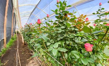 Finca en Venta 21 hectareas lista para producir agua de riego