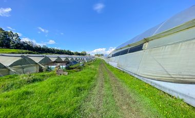 Finca en Venta 21 hectareas lista para producir agua de riego
