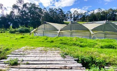 Finca en Venta 21 hectareas lista para producir agua de riego