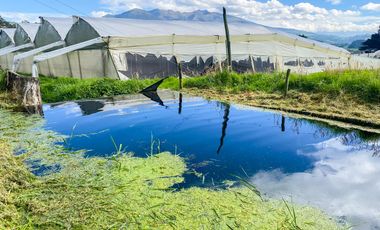Finca en Venta 21 hectareas lista para producir agua de riego