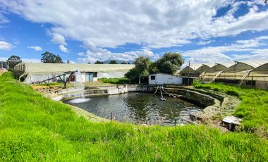 Finca en Venta 21 hectareas lista para producir agua de riego
