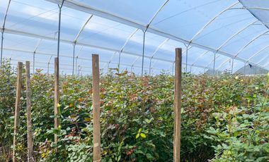 Finca en Venta 21 hectareas lista para producir agua de riego