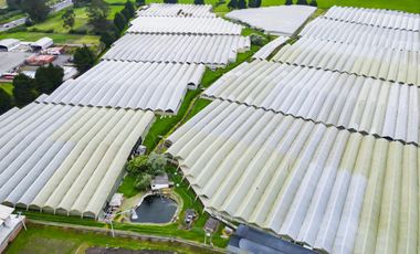 Finca en Venta 21 hectareas lista para producir agua de riego