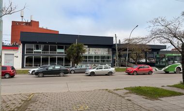 Local en  Alquiler