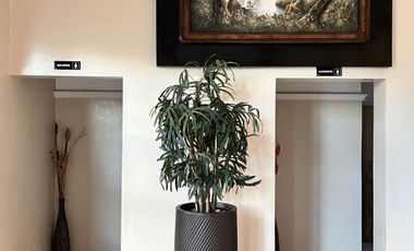 Terreno en Venta en Huentitán - Calzada Independencia 4465