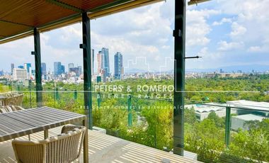 Gardenhouse Lujo Renta Ruben Dario 141 Artigas Frente Chapultepec