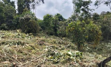 Lote - Vereda Tolu - La Esperanza - La Mesa Cundinamarca