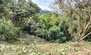 Lote - Vereda Tolu - La Esperanza - La Mesa Cundinamarca