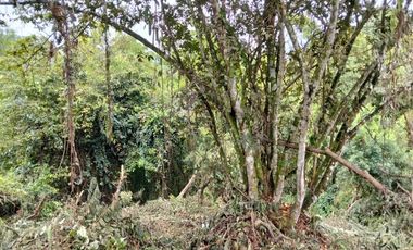 Lote - Vereda Tolu - La Esperanza - La Mesa Cundinamarca