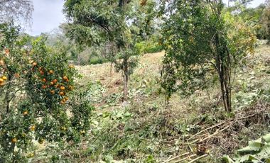 Lote - Vereda Tolu - La Esperanza - La Mesa Cundinamarca