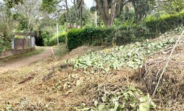 Lote - Vereda Tolu - La Esperanza - La Mesa Cundinamarca