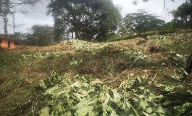 Lote - Vereda Tolu - La Esperanza - La Mesa Cundinamarca