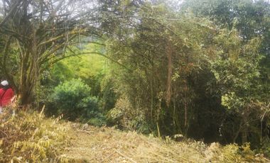 Lote - Vereda Tolu - La Esperanza - La Mesa Cundinamarca