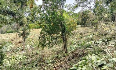 Lote - Vereda Tolu - La Esperanza - La Mesa Cundinamarca