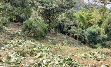 Lote - Vereda Tolu - La Esperanza - La Mesa Cundinamarca