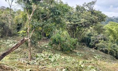 Lote - Vereda Tolu - La Esperanza - La Mesa Cundinamarca