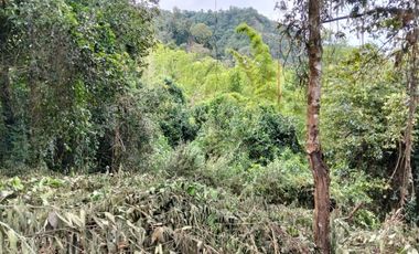 Lote - Vereda Tolu - La Esperanza - La Mesa Cundinamarca