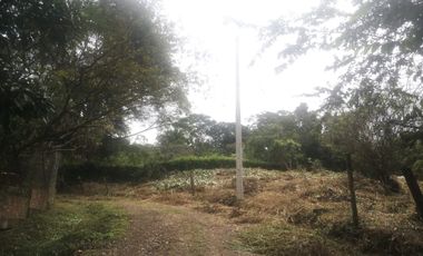 Lote - Vereda Tolu - La Esperanza - La Mesa Cundinamarca